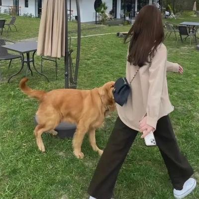 烈女门 在线观看
